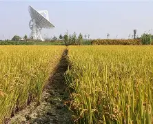 Ning新星表现优异表现突出，MAD前途光明！